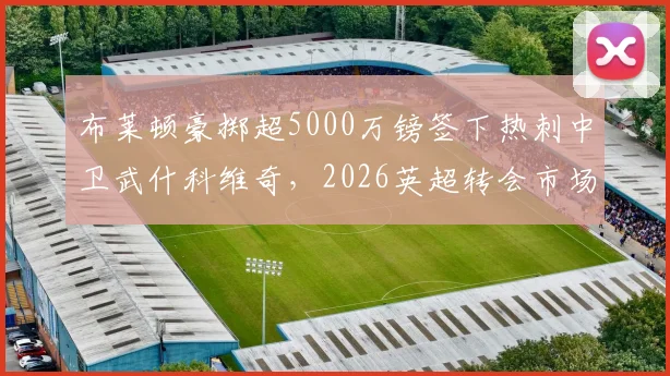 布莱顿豪掷超5000万镑签下热刺中卫武什科维奇，2026英超转会市场再添重磅交易