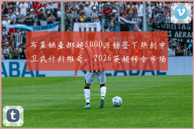 布莱顿豪掷超5000万镑签下热刺中卫武什科维奇，2026英超转会市场再添重磅交易